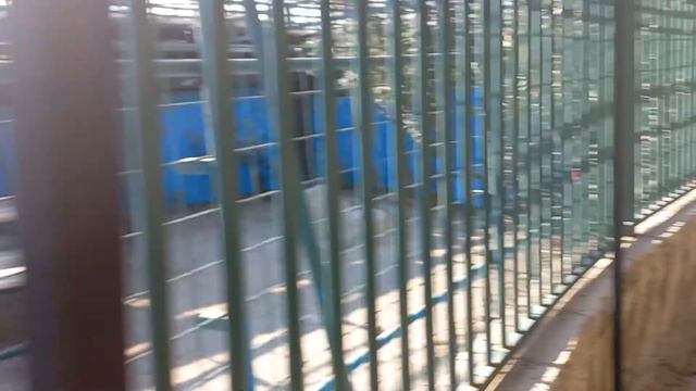 Зоопарк, динозавры по дороге в Сиде. смотреть онлайн
