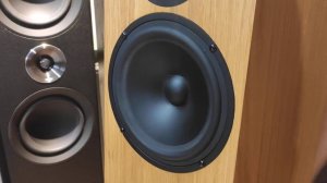 Floorstanding speakers  PMC Twenty 24