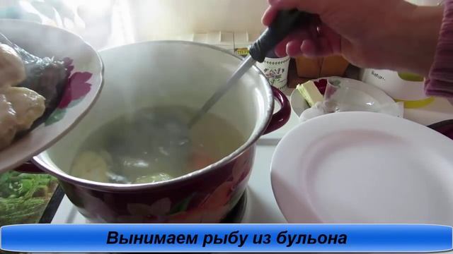 Вкусные рецепты рыбы