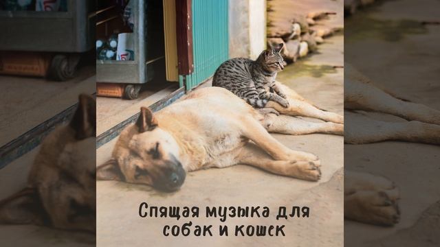 День перерыв смотреть онлайн