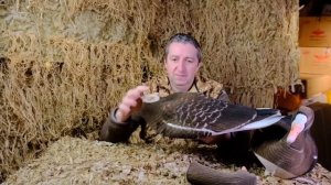 Плавающие чучела гусей Белолобый Softplast Живое перо. Чучела гусей Аквазон