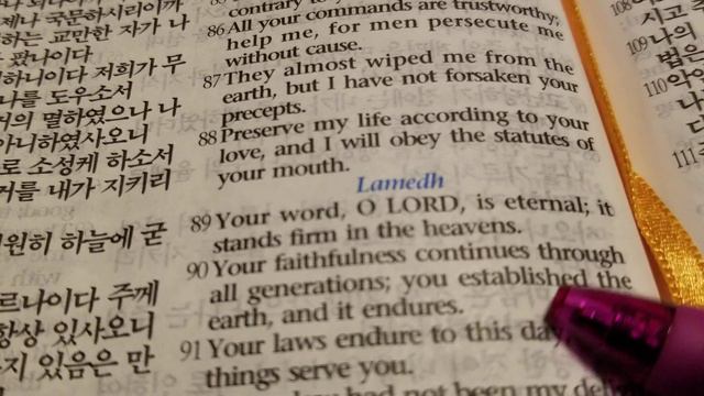 Psalm 119:89-90, Your faithfulness continues through all generations... смотреть онлайн