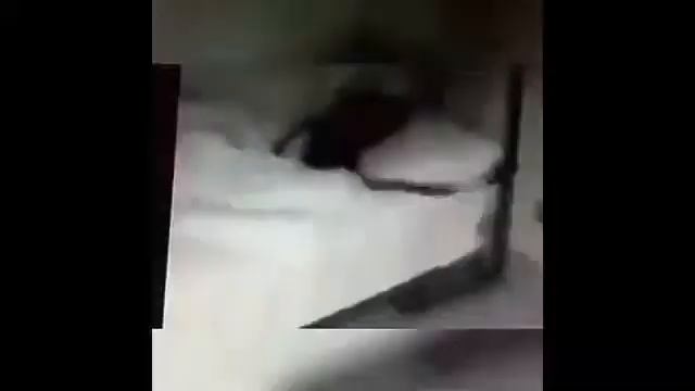 Ержан хватит думать о бананах вставать пора!