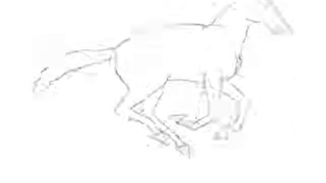 Animated horse gallop in 2D. смотреть онлайн