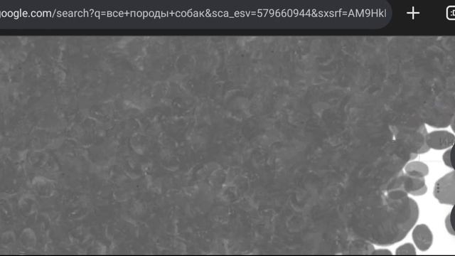 Когда хотел записать конец видео, но что то пошло не так... смотреть онлайн