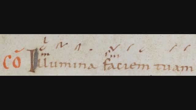 Illumina Faciem Tuam Super Servum Tuum