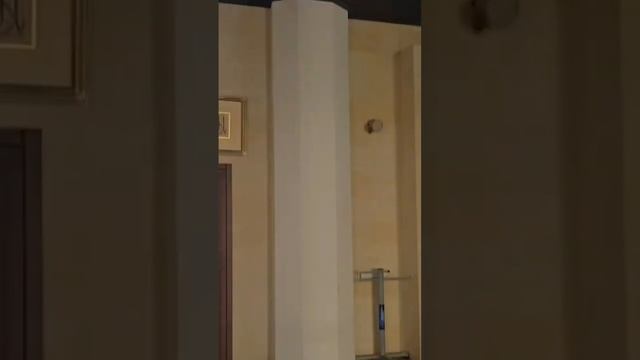 10-Аятов из суры аль-Бакара,читаются перед сном.