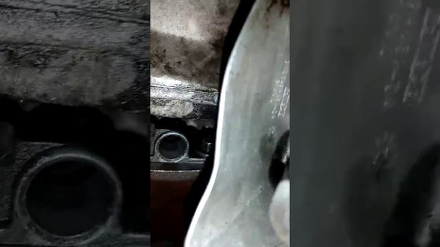 Sincronización puesta a punto Motor Puma duratorq 3.2 5 cilindros diesel смотреть онлайн