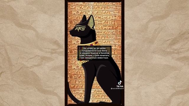 Почему в Египте кошки считаются священными смотреть онлайн
