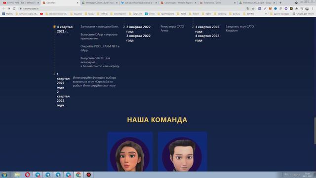 CATO WARS платформа,которая объединяет игры NFT и децентрализованные фермы Canoncrypto.io токен$CAT смотреть онлайн