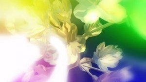 Футаж Цветы - Footage Flowers