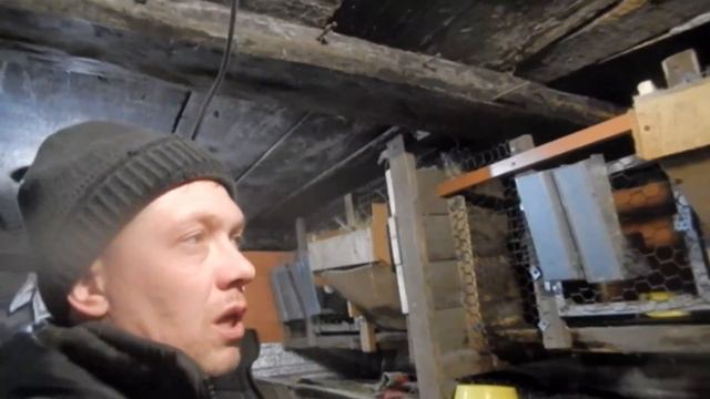 Села курица на яйца. Создал канал на рутуб. смотреть онлайн