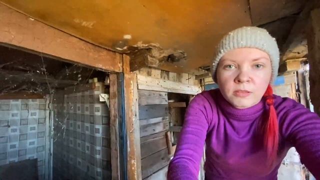 Сажаем туи, наводим порядок на нашей даче. смотреть онлайн