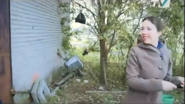 Занятия конным спортом в КСК "БЭСТ" Лен.Обл. ТВ смотреть онлайн