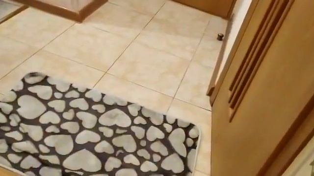 Вольт, вытирай ноги! смотреть онлайн