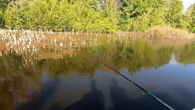 рыбалка , отдых на природе , ловим весеннию сорожку!!! смотреть онлайн