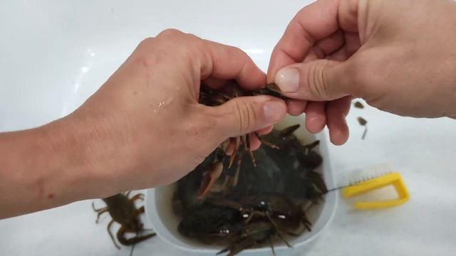 Современные Инструментальные Мелодии