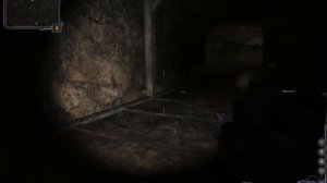 S.T.A.L.K.E.R.: Чистое небо — рыжий лес (захватить: чёртова стоянка)