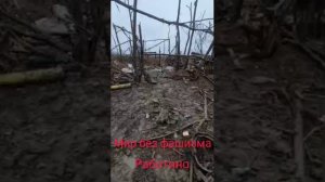 VID_20240326_045204_848.mp4