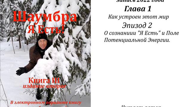 Шаумбра - III, Ролик 3003, О сознании "Я Есть" и Поле Потенциальной энергии. смотреть онлайн