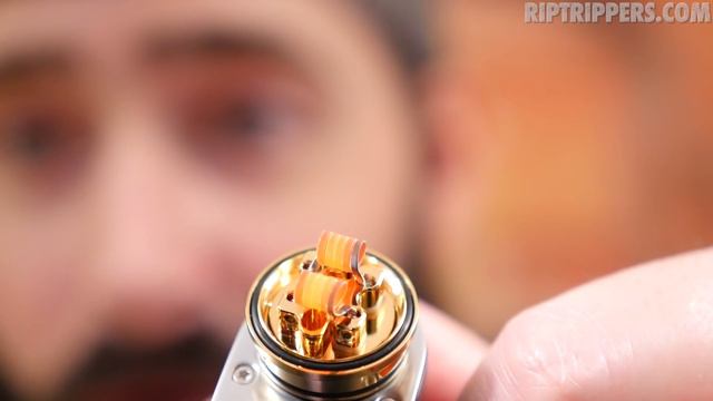 Dotmod Petri RTA First Impressions! смотреть онлайн
