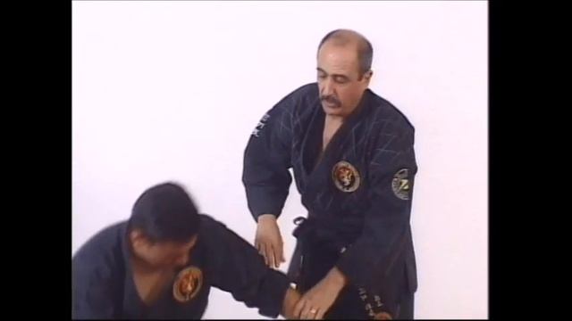 Hapkido Red belt program in Combat Hapkido ( Chon-Tu Kwan Hapkido 전투관 합기도) смотреть онлайн