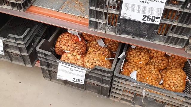 Едем в Садовый центр. Ассортимент и цены