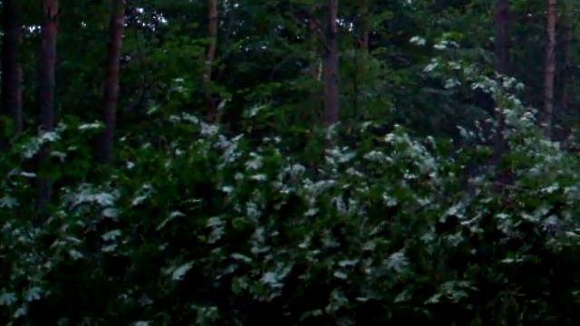 25 Мая 2010. Спасение Парка Горького. Раннее утро (4:38). смотреть онлайн