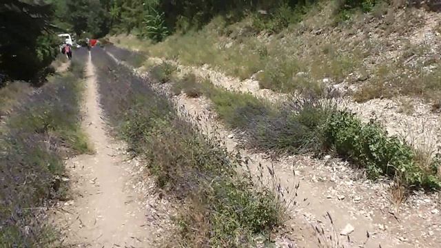 Лаванда-а... Горная лаванда... смотреть онлайн