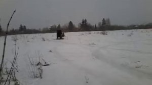 Миниснегоход на базе мотобуксировщика