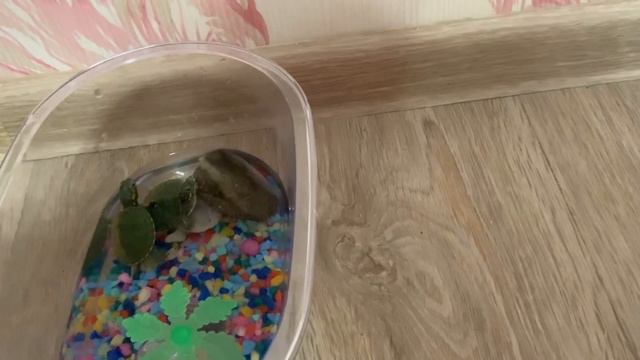 Новые жители. Смена зубов у АЛК. Кошачьи гонки. смотреть онлайн