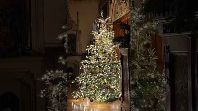 Рождество в замке Гогенцоллернов. смотреть онлайн