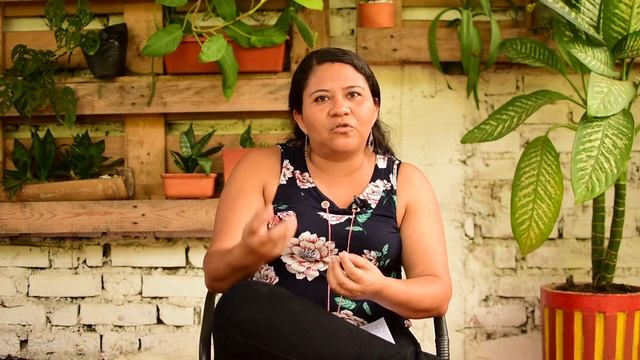 Proyecto Ganador Diplomado Gobernabilidad 2 смотреть онлайн