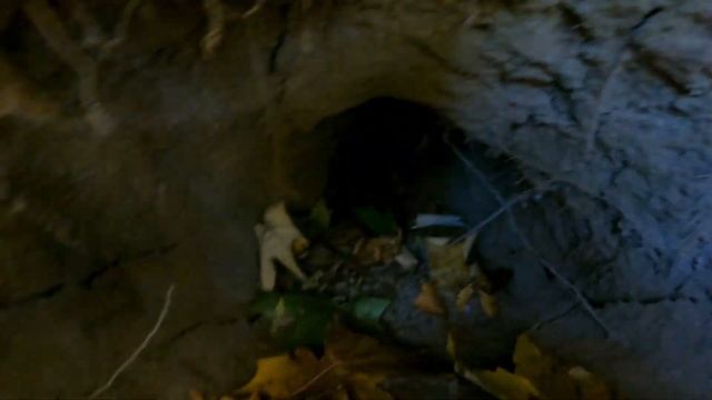 Офигеть что я нашёл. Два дня в землянке 4к видео 2 часть смотреть онлайн