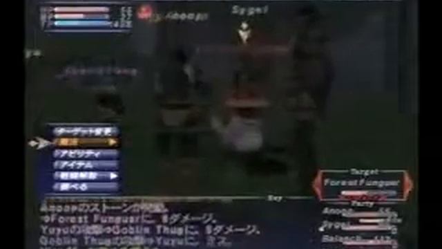 Final Fantasy XI PlayStation 2 Gameplay_2002_06_06_3 смотреть онлайн