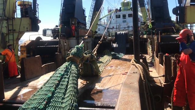 Подъем трала окунь. Море Ирмингера. смотреть онлайн