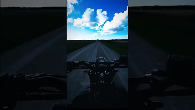 1000018169.mp4 смотреть онлайн