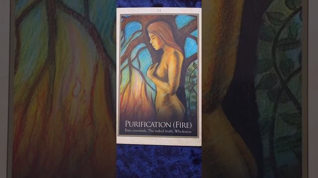 Purification Fire ? Gaia Oracle Card Meaning смотреть онлайн