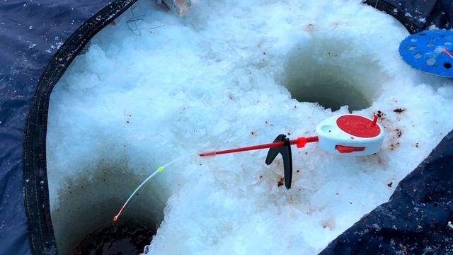 Нашли отличный омут. Окунь Плотва Бешеный клев. смотреть онлайн