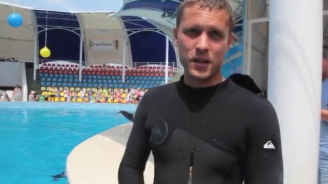 Дельфины в Коктебеле смотреть онлайн