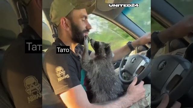Папа… Это слово каждый день звучит миллионы раз, и каждый раз в нем слышится защита #деньпапи #тато смотреть онлайн