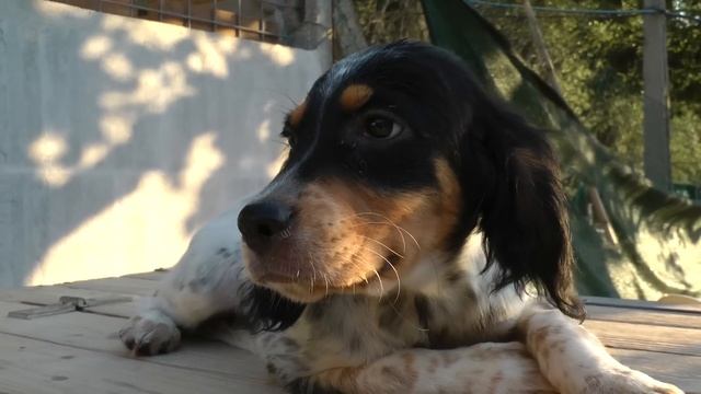 Ketti.MTS смотреть онлайн