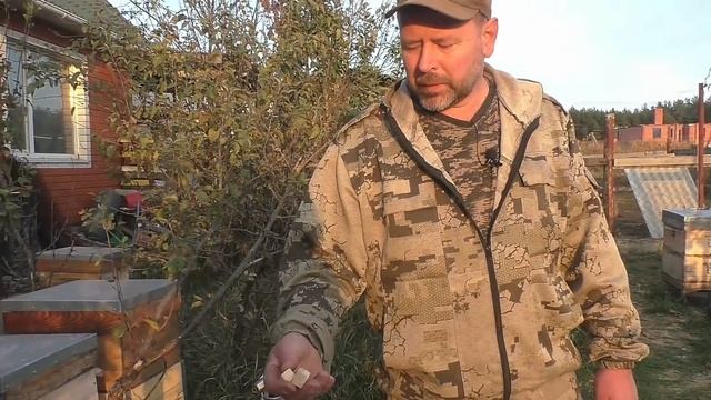 Рейтинг топлива для дымаря. Как правильно заправить дымарь? Топливо для дымаря. пчеловодство