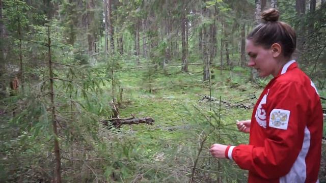 Эпизод 81. Едим для десен полезные молодые побеги на стоянке на берегу реки Гороховки смотреть онлайн