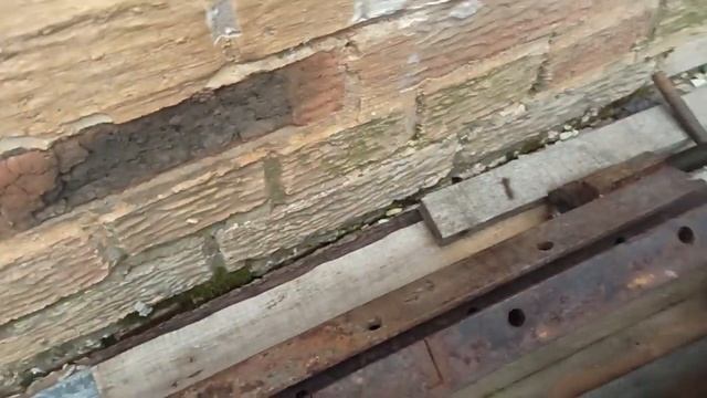 Ваймы столярные. смотреть онлайн