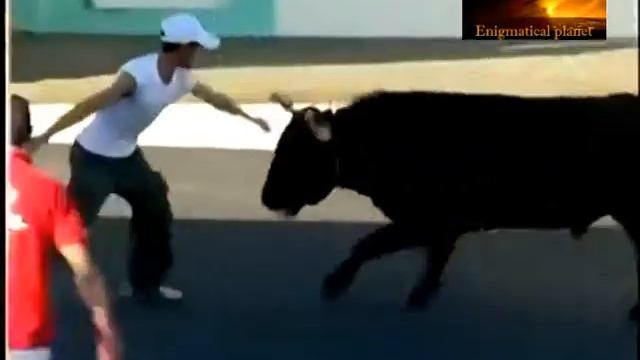 Street bullfights, part 1 (!) Уличная коррида, часть 1 смотреть онлайн