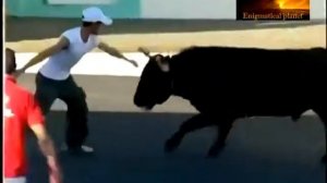 Street bullfights, part 1 (!) Уличная коррида, часть 1
