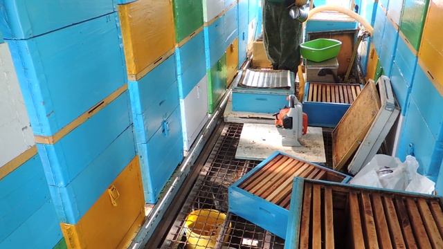 Как избавиться от пчел в магазине? смотреть онлайн