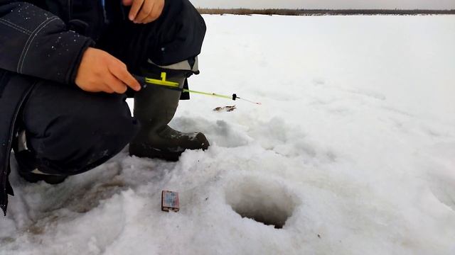 Кто берет на подлёдку СПИННИНГ? Рыбалка в Якутии. #якутия #зима #подледнаярыбалка #рыбалка #река смотреть онлайн