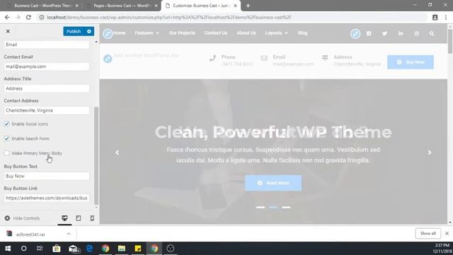 Business Cast Free WordPress Theme смотреть онлайн